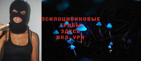 гидра Россошь