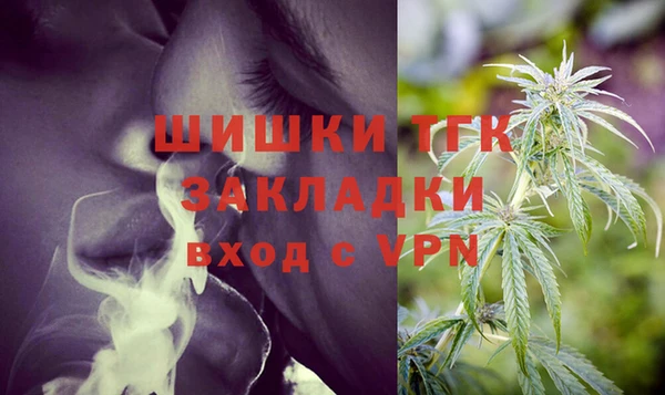 твердый Рославль