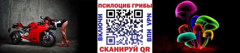 Псилоцибиновые грибы Magic Shrooms  как найти наркотики  Десногорск 