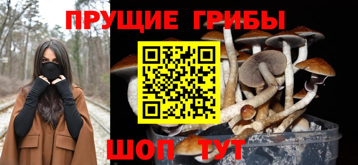 Псилоцибиновые грибы ЛСД  Вход с VPN  Галлюциногенные грибы Psilocybine cubensis  Десногорск 